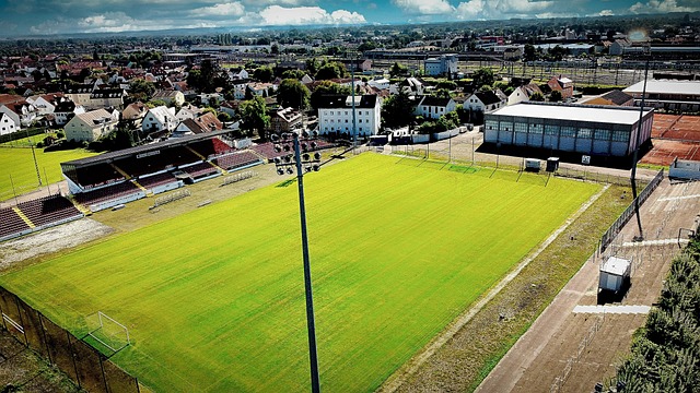 表现充满期 表现充满期