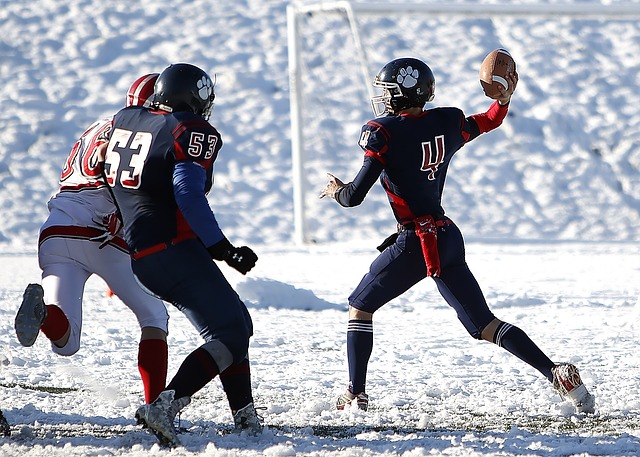 带领球队走 带领球队走