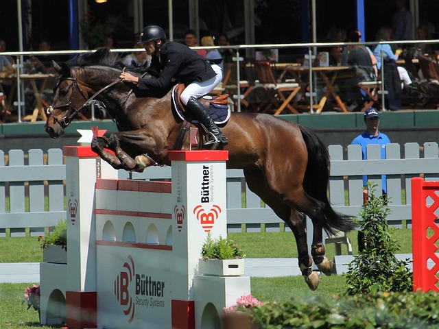 似乎讓整個 似乎讓整個